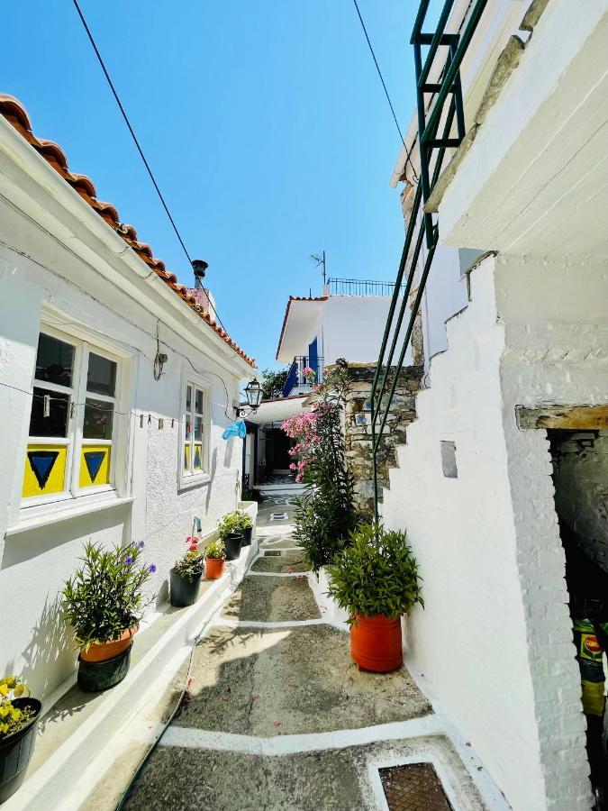 Άκρη Του Κόσμου Vila Ampelos  Exterior foto